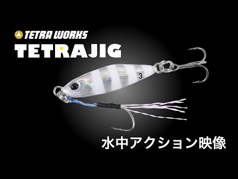 ショアジギングのリトルソルジャー!!「TETRA WORKS TETRAJIG」～水中アクション～