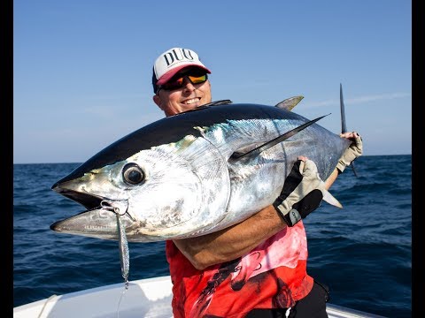 Heavy Duty Tuna Fishing with Press Bait 125HD