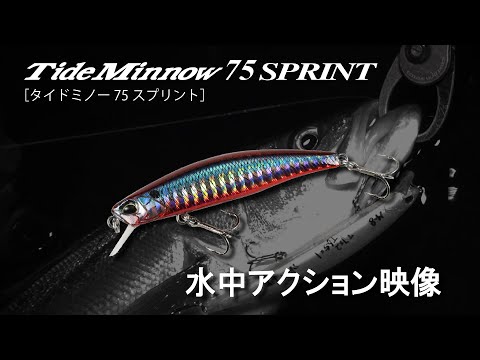 アグレッシブシンキングミノー「Tide Minnow SPRINT 75（タイドミノ―スプリント）」