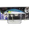 sardine