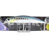 sardine