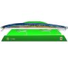 z2091-american-shad