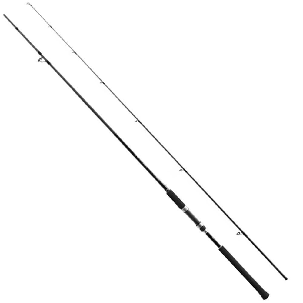 SALTYADVANCE_SEABASS_MAIN