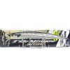 ast0804-mullet-nd