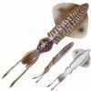 cuttlefish