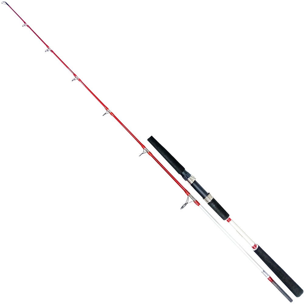CARSON-ΚΑΛΑΜΙ-EVER-PRO-JIGGING-2
