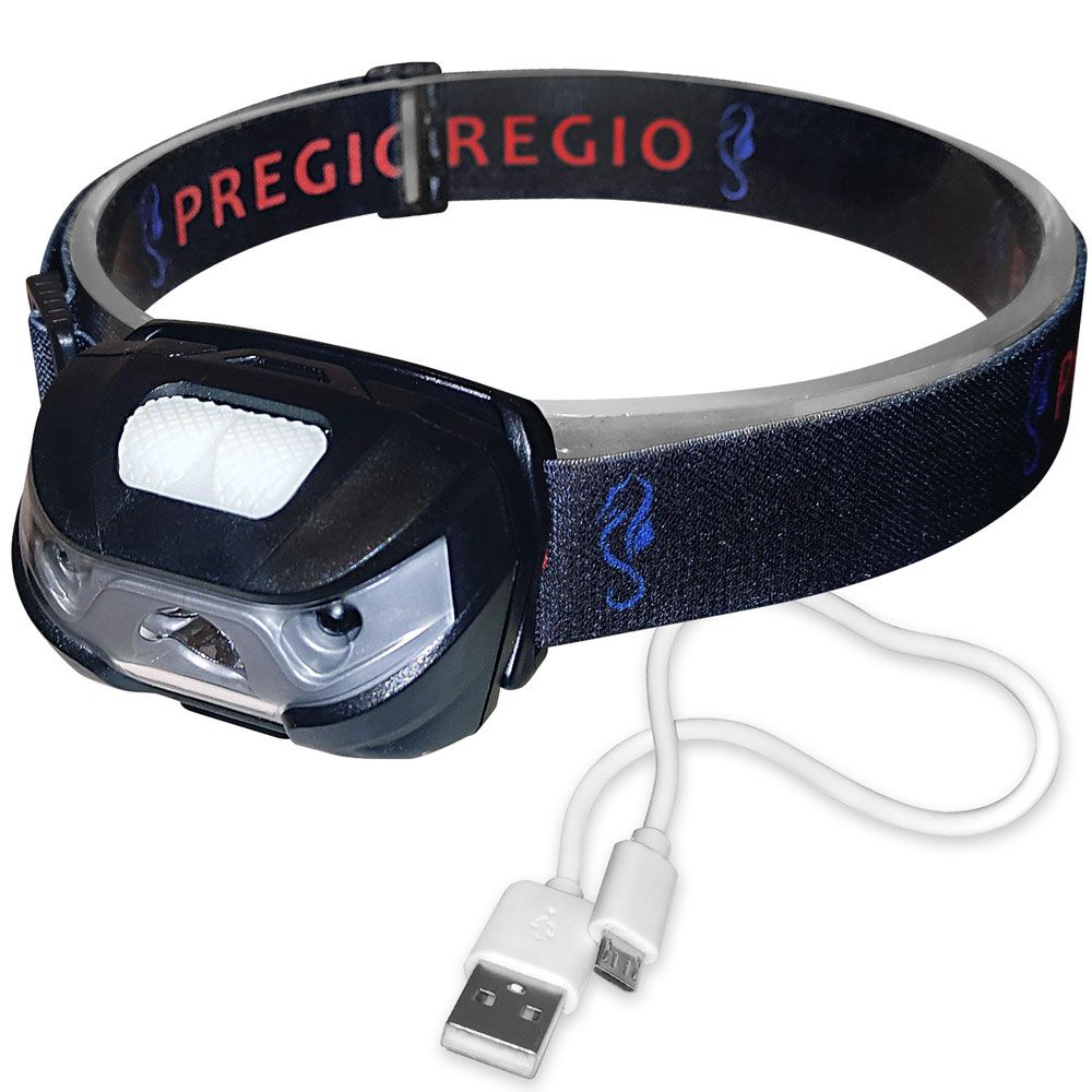 PREGIO-ΦΑΚΟΣ-ΚΕΦΑΛΗΣ-18-1004