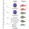 D-CROSS ΑΡΜΑΤΩΣΙΑ 100% FLUOROCARBON x 4 HOOKS