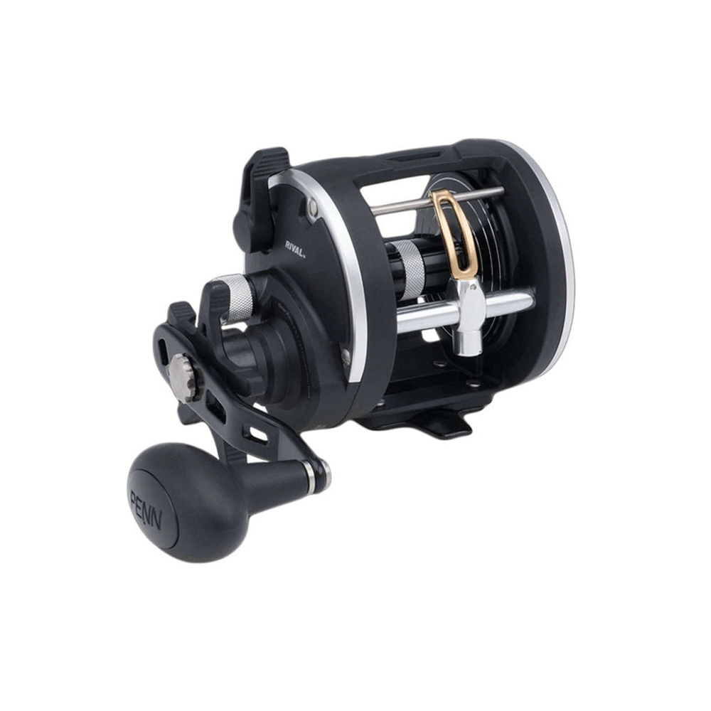 Moulinet PENN RIVAL LEVEL WIND 30 LW LH - Main Gauche, MultiRouleau, Frein Carbone, Neuf