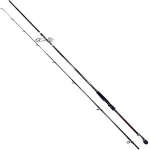 DAIWA ΚΑΛΑΜΙ INFEET SEABASS