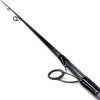 DAIWA ΚΑΛΑΜΙ INFEET SEABASS - Image 2