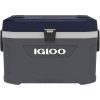 IGLOO ΨΥΓΕΙΟ MAXCOLD LATITUDE 54