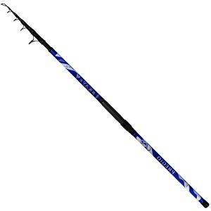 PREGIO ΚΑΛΑΜΙ BRAVE 4.20m / 100-200gr