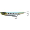 sardine