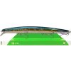 american-shad