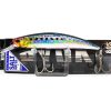 genkai-sardine
