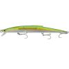 holographic-needlefish