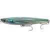 striped-shad