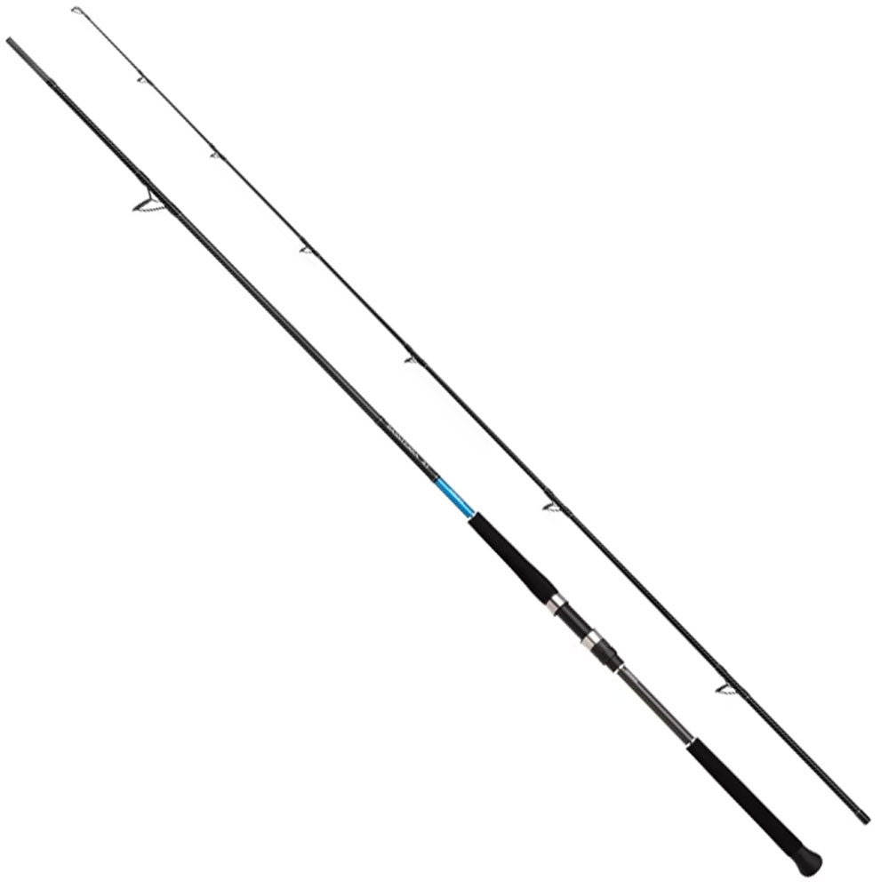 SHIMANO-ΚΑΛΑΜΙ-BASSTERRA-XT-SHORE-JIGGING