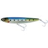 sardine